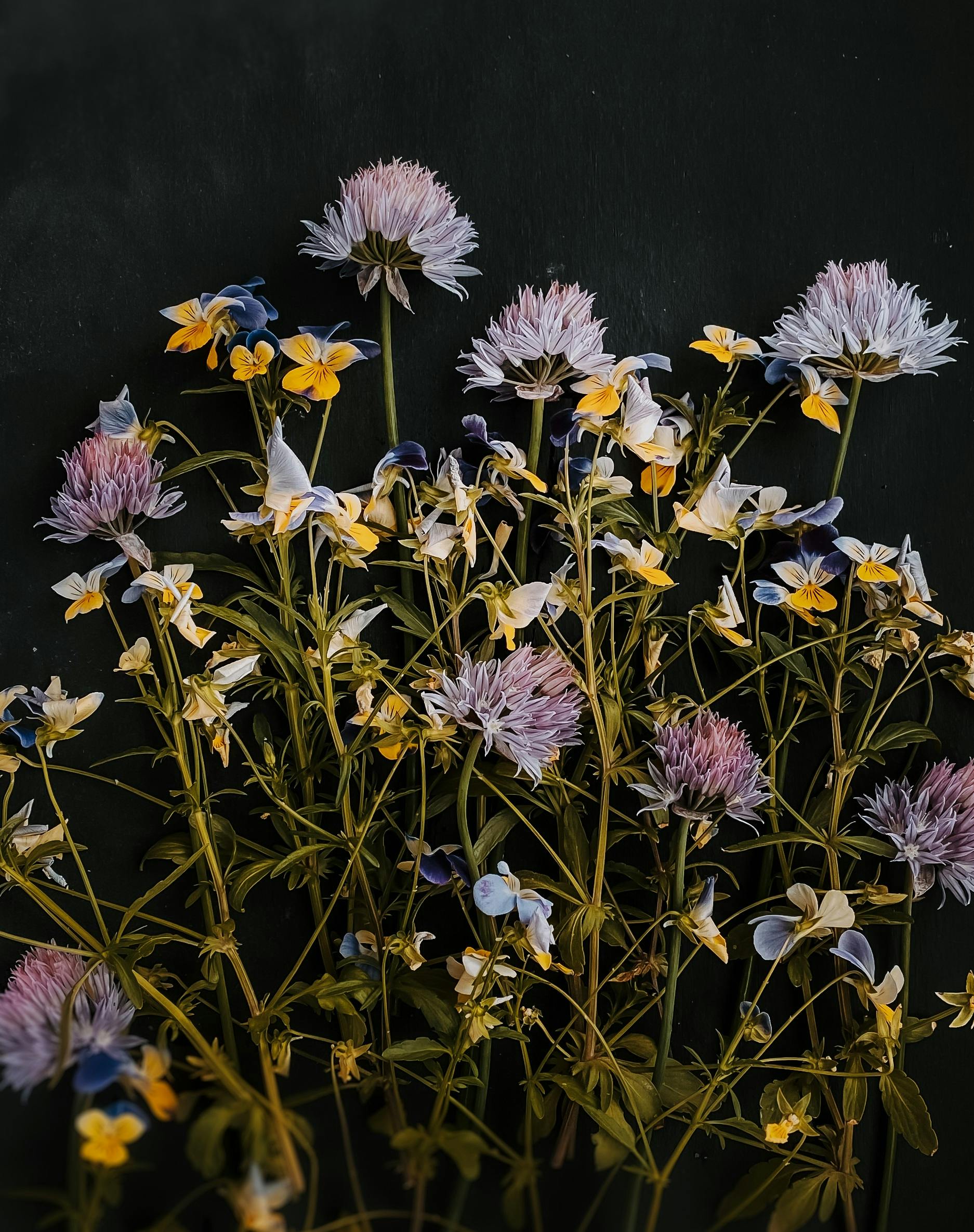 Blumen